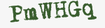 Enter these letters in the box below