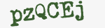 Enter these letters in the box below