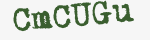 Enter these letters in the box below