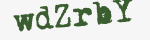 Enter these letters in the box below